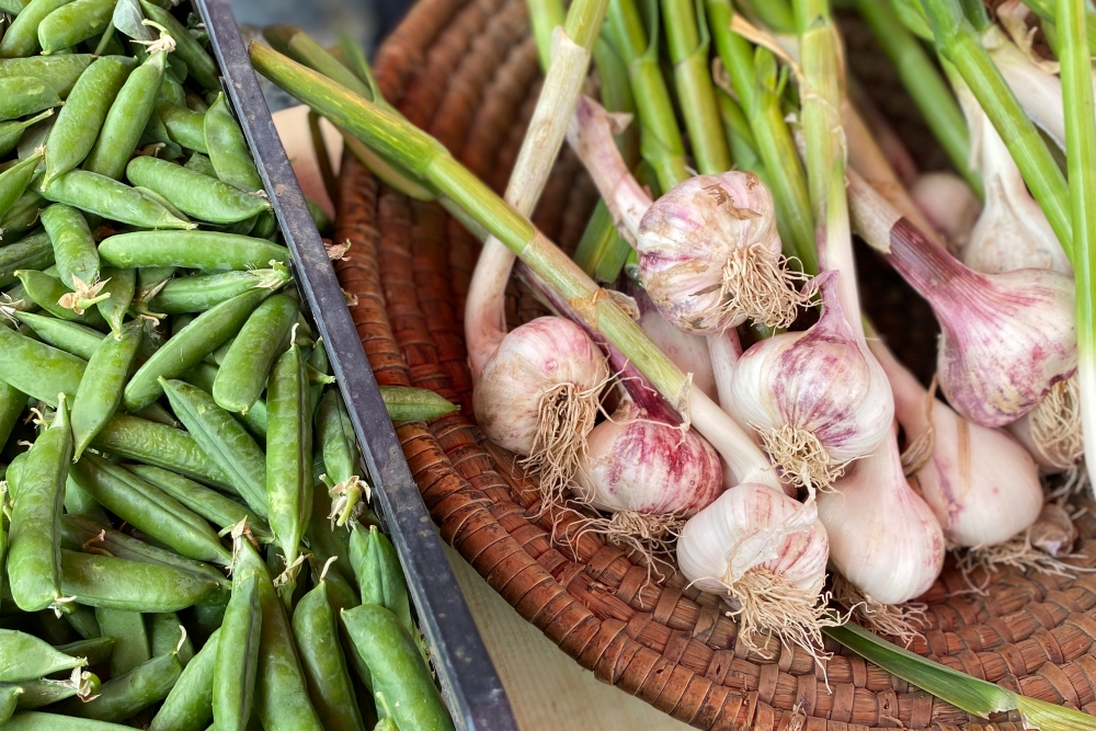 Roudnické farmářské trhy