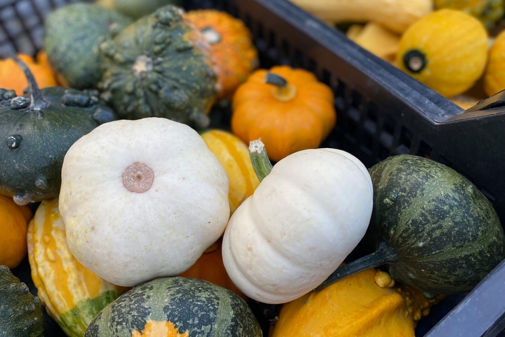 Roudnické farmářské trhy