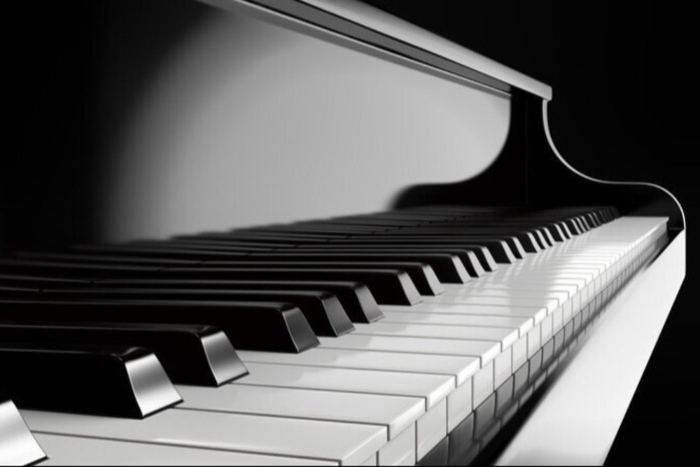 Koncert žáků Petry Valdmanové