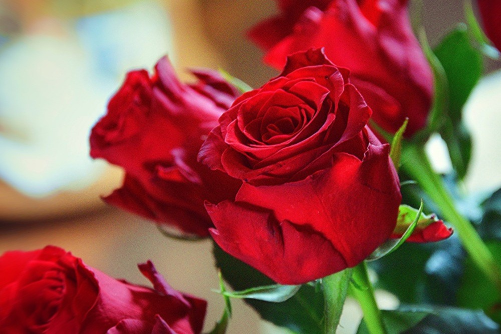 Knihovnické dílničky - Den matek