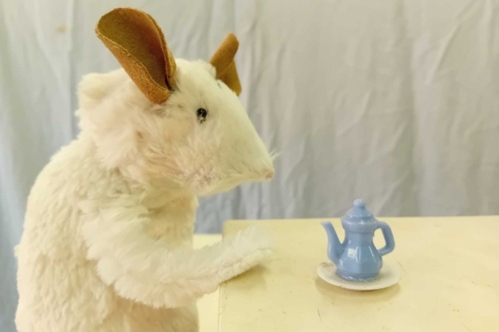 Myšák a lasičák - pohádka pro děti