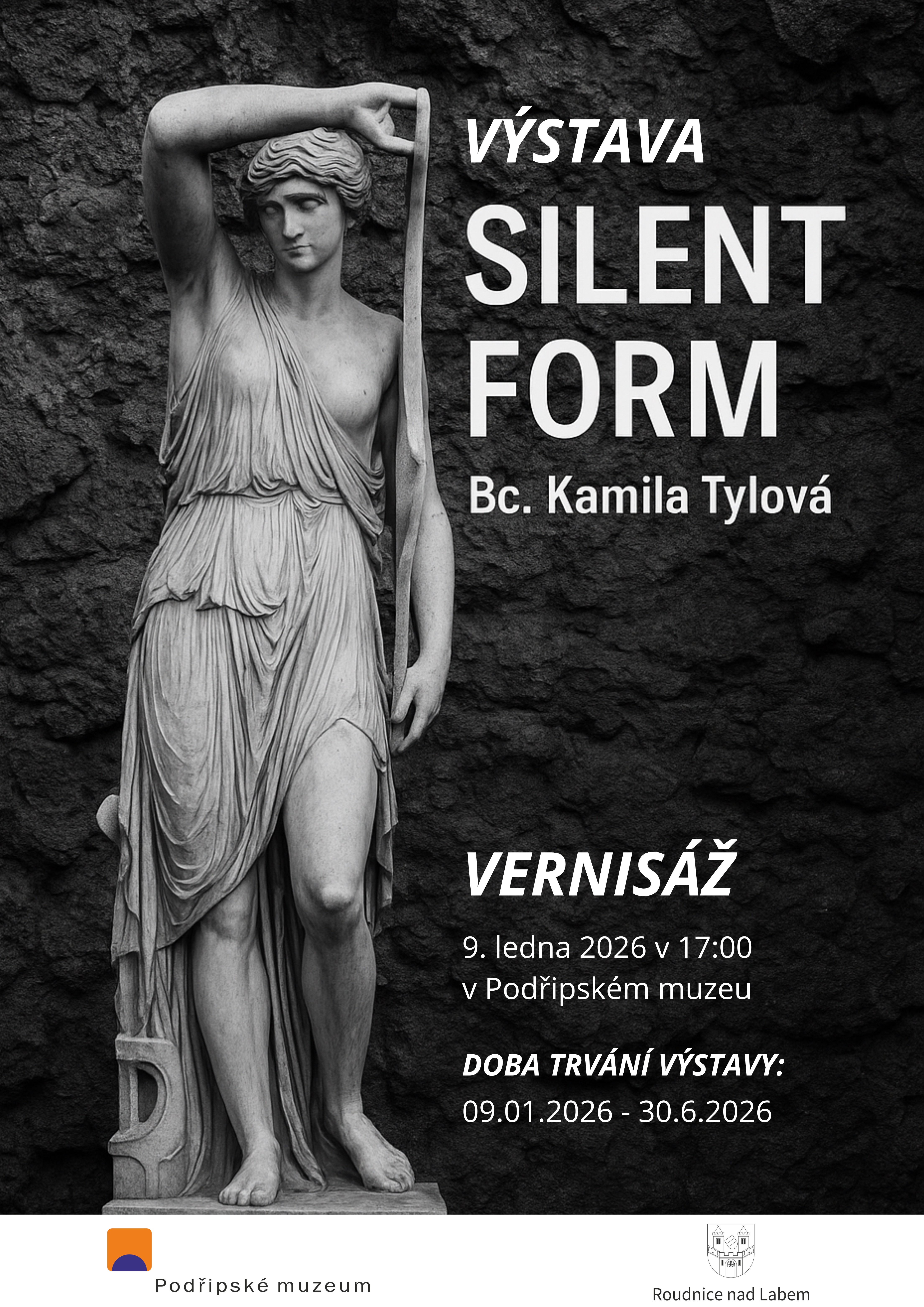 Plakát – SILENT FORM